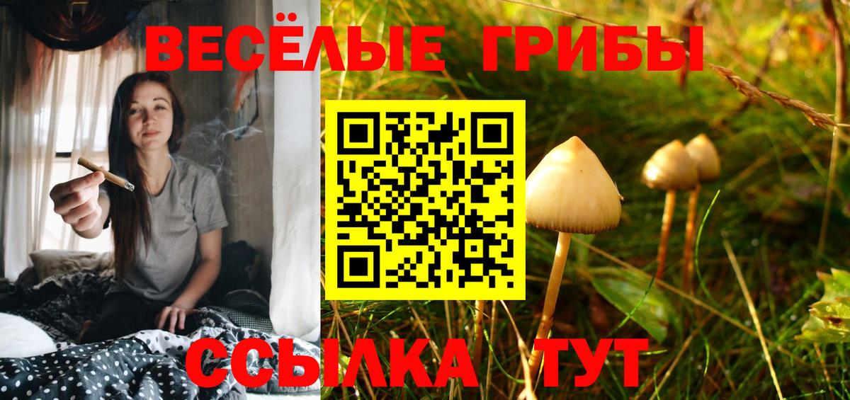 Самара  Псилоцибиновые грибы Cubensis  сколько стоит  Вход с VPN 
